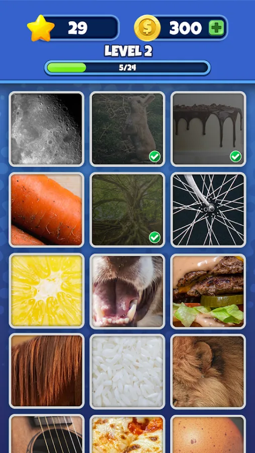 Guess it! Zoom Pic screenshot 3